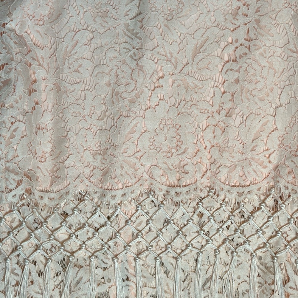 TOPSHOP LACE BLUSH PINK TIERED FRINGED MIDI PENCIL SKIRT - Picture 11 of 13